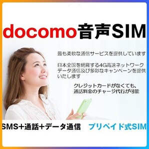 プリペイド 音声SIM 日本国内 ドコモ回線 高速データ容量3G/月 SMS/着信受け放題 継続利用可 Docomo格安SIM