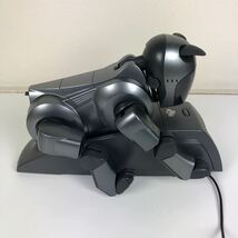 【ジャンク品】AIBO SONY アイボ ERS-210専用ソフト付 現状品_画像5