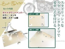 サイドマウント ナンバーステー キット ビラーゴ250 TW200_画像2