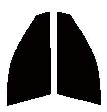 ダークスモーク　１３％　運転席、助手席　カムリ ACV30・ACV35　カット済みフィルム　国産