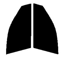 ダークスモーク　１３％　運転席、助手席　ステージア　M35　カット済みフィルム　国産_画像1