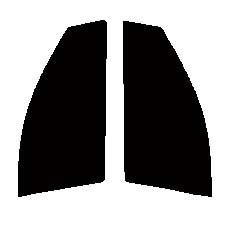 ダークスモーク　１３％　運転席、助手席　イスト　（ist）　NCP60・NCP61・NCP65　カット済みフィルム　国産