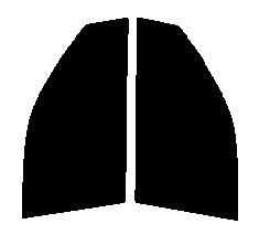 ダークスモーク　１３％　2層構造フィルム　運転席・助手席　エクストレイル T30　カット済みカーフィルム　