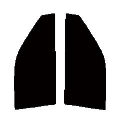 ライトスモーク　５０％　運転席、助手席　スターレット　EP82・EP85・NP8