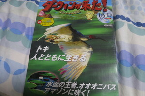 da- wing . пришел DVD книжка Tokio oo ni автобус DVD нераспечатанный 