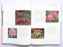 大型本◆ロードデンドロン写真集 本 植物_画像6