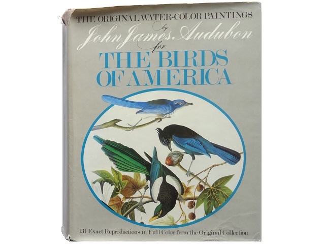 الكتب ◆ المجموعة الفنية للطيور الأمريكية, مجموعة الصور, كتب, لوحات بالألوان المائية, تلوين, كتاب فن, مجموعة, كتاب فن