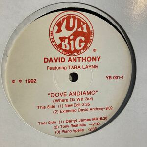 David Anthony Featuring Tara Layne - Dove Andiamo (Where Do We Go!)