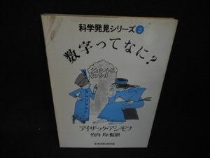 科学発見シリーズ2　数学ってなに?　染み多有/WBG