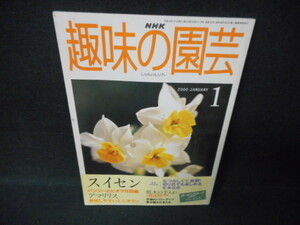 NHK趣味の園芸　2000年1月　スイセン/WCN