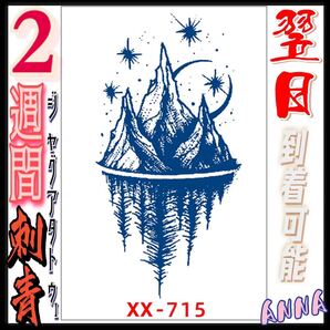2週間で消える 715 ヘナタトゥー ジャグアタトゥーシール タトゥーシール ティントタトゥーシール ボディーアートシール タトゥー