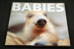 内山晟/PANA通信社【BABIES ベイビーズ】東京書籍-2009年初版■100種400点以上-図鑑型ヒーリング写真集