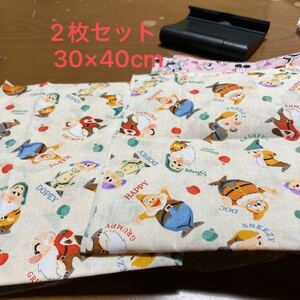 生地 7人の小人 白雪姫 30×40cm 2枚セット オックス (廃盤ラスト)