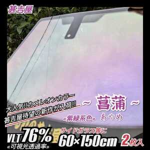 《新品》ウィンドウフィルム ~菖蒲あやめ~ カメレオンカラー 紫緑系色 プライバシー保護 飛散防止 洒落 縦60cm×横150cm 2枚入サイド等