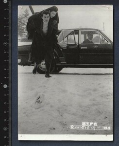 スチール写真■1966年【わが愛を星に祈りて】[ B ランク ] 島耕二 高田美和