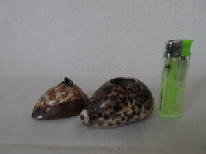 *. ornament / objet d'art 2 piece * ho si Dakar la?* shell / specimen / processed goods *