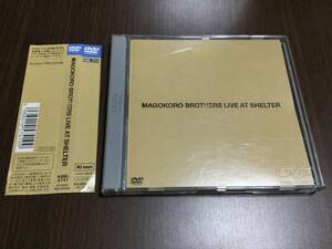 ◇帯痛み ケース痛み多 背あせ 動作OK◇真心ブラザーズ MAGOKORO BROTHERS LIVE AT SHELTER DVD 国内正規品 セル版 即決