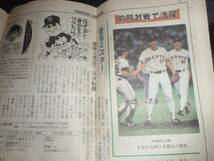 1993年 読売ジャイアンツ 観戦ガイド 24号 / 元木大介 本塁急襲 バーフィールド_画像3