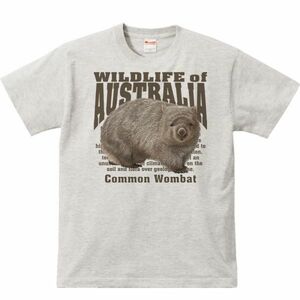 ヒメ ウォンバット（オーストラリアの動物）/半袖Ｔシャツ/メンズS/杢・新品・メール便 送料無料