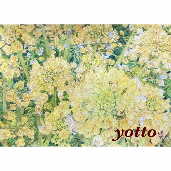 色鉛筆画「 菜の花 〜小さな幸せ〜 」Ａ４・額付き◇◆手描き◇原画◆花◇◆yotto ◇