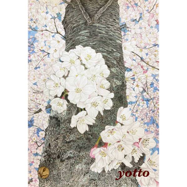 色鉛筆画「 桜雲 」A4・額付き◇◆手描き◇原画◆桜◆yotto◇50%OFF