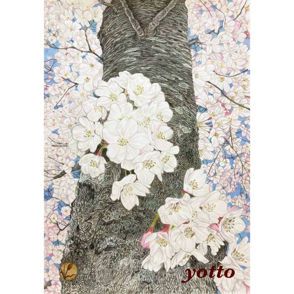 色鉛筆画「 桜雲 」Ａ４・額付き◇◆手描き◇原画◆桜◆yotto◇