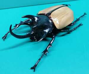 デアゴスティーニ　世界の昆虫　ゴホンヅノカブト　雄　カブトムシ　ケース無し　本体のみ　フィギュア
