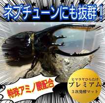 極上☆進化した！プレミアム発酵カブトムシマット☆栄養添加剤3倍配合！ギネス級狙えます！クヌギ100％原料　コバエ、雑虫も全く湧きません_画像9