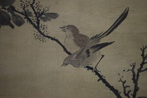 Art hand Auction 【真作】//狩野永叔/花鳥図/布袋屋掛軸HJ-125, 絵画, 日本画, 花鳥, 鳥獣