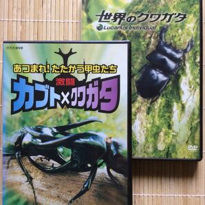 「世界のクワガタ」「激闘カブト×クワガタ」DVD