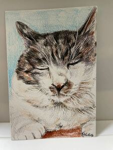 色鉛筆画　ポストカード　絵葉書　ネコ　猫　ねこ　手書きイラスト　一点物　原画　絵画