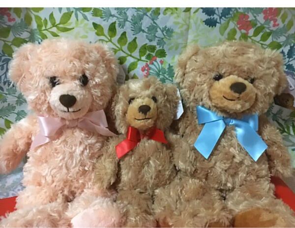 ハニテディベア家族3体セット単品購入可