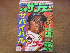 1909MK●週刊少年サンデー 43/1977昭和52.10.23●村野守美読み切りおれは二代目/さいとうたかをサバイバル/楳図かずおまことちゃん/田村信