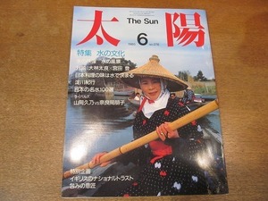 2110CS●太陽 278/1985昭和60.6●特集：水の文化/大林太良×宮田登/淀川紀行/日本の名水100選/山岡久乃vs奈良本辰也/包みの意匠