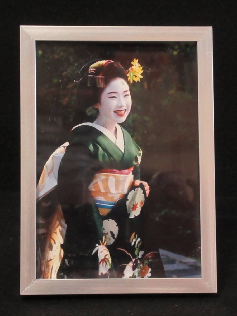 お気に入りの 京都の桜 花見小路の舞妓 <br> 春 さくら 京都 まいこ