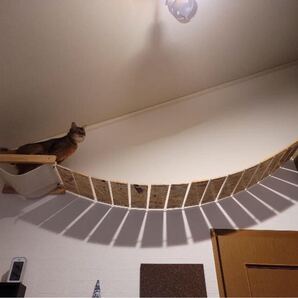 キャットウォーク