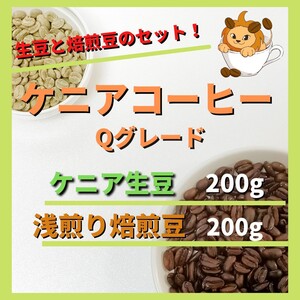 【浅煎りコーヒーと生豆セット】ケニア コーヒー豆 Qグレード 自家焙煎 コーヒー