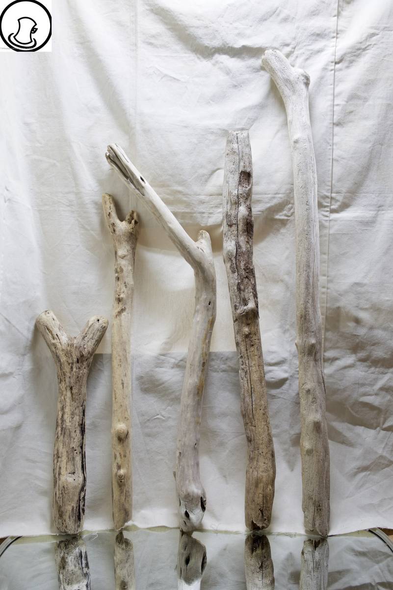 SEASIDEinterior★Driftwood as an interior object, Cool driftwood for decorating 72, handmade works, interior, miscellaneous goods, ornament, object