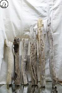 Art hand Auction SEASIDEinterior★流木をインテリアオブジェに, Cool driftwood for decorating 73, ハンドメイド作品, インテリア, 雑貨, 置物, オブジェ