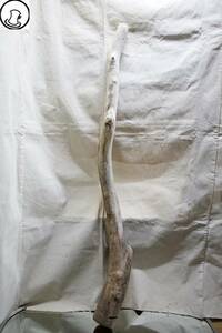 Art hand Auction SEASIDEinterior★流木をインテリアオブジェに, Cool driftwood for decorating 74, ハンドメイド作品, インテリア, 雑貨, 置物, オブジェ