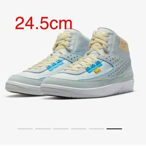 【新品】24.5cm UNION × Nike Air Jordan 2 Grey Fog ユニオン × ナイキ エアジョーダン2 グレー フォグ
