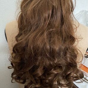 フルウィッグ ロング