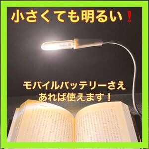 USB LEDライト スイッチ付き 読書灯 ブックライト キーホルダー