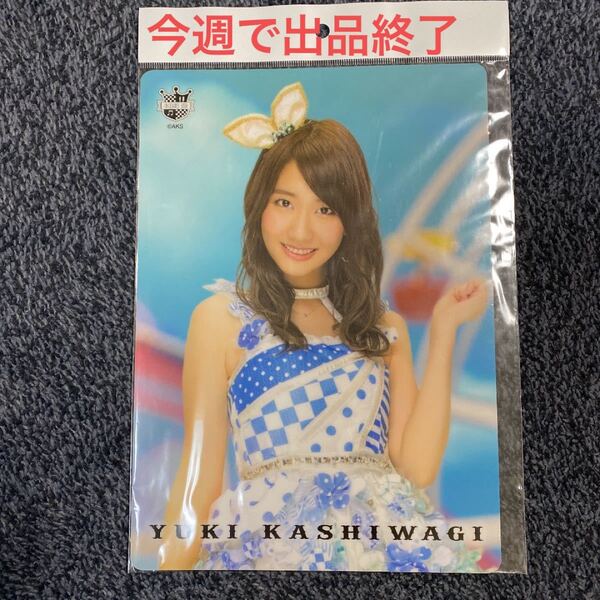 AKB48 CAFE&SHOP限定の柏木由紀の下敷き