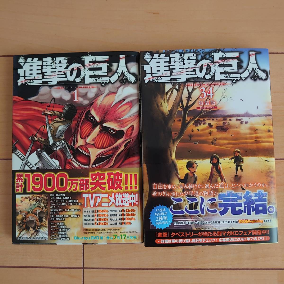かわいい 進撃の巨人 Dvd 悔いなき選択 他 5巻 未開封 アニメ Portalcultura Net Br