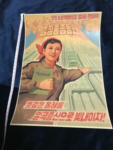 精密印刷　北朝鮮　朝鮮民主主義人民共和国　プロパガンダポスター　north Korea 16 約30cm×約21cm