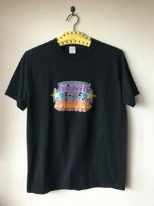 美品 70s sportswear ヴィンテージ ラメTシャツ/ アルテックス スクリーンスターズ ステッドマン