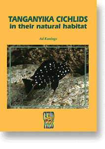  Africa nsik lid tongue gani squid lake nature illustrated reference book foreign book Tanganyika cichlids in their natural habitat Ad Konings CICHLID front -sa