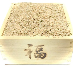 高評価、味、香り、粘りが違います！ ★令和３年産特別栽培米　本物のコシヒカリ 玄米２５ｋｇ　白鳥飛来の郷川島町　精米・小分け無料！