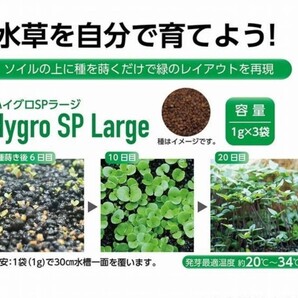 kotobuki 種からはじめるレイアウト ハイグロspラージ プランツシート